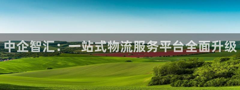 28圈注册流程:中企智汇:一站式物流