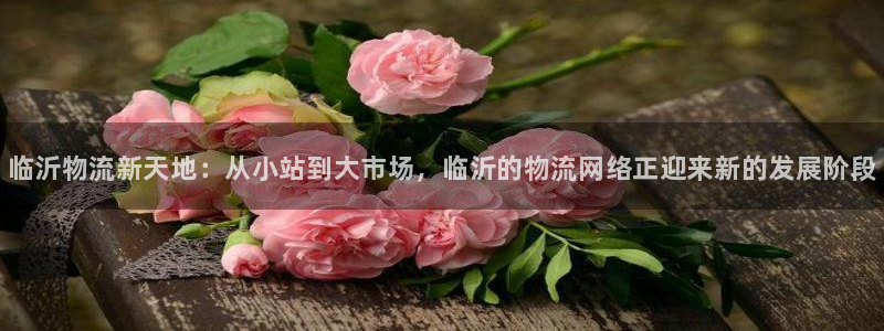 28圈初始资金密码在哪里改:临沂物流