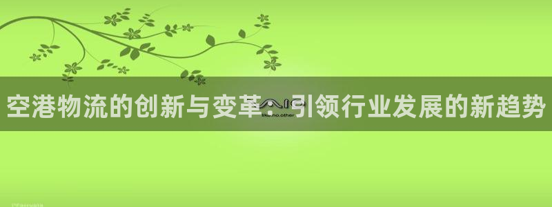 28圈为什么打不开：空港物流的创新与