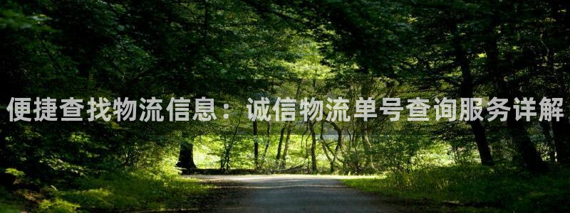 28圈开奖预测：便捷查找物流信息：诚