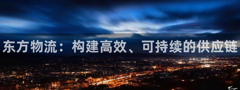 28圈代理落网：东方物流：构建高效、