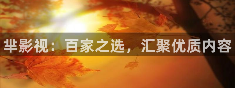 真不卡影院：芈影视：百家之选，汇聚优质内容
