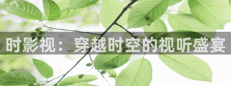 偷偷藏不住真不卡影院：时影视：穿越时空的视听盛宴