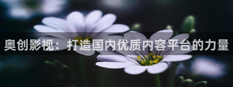 真不卡影院最新：奥创影视：打造国内优质内容平台的力量