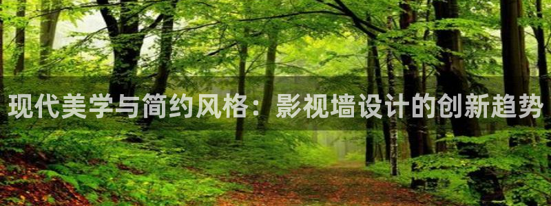 真不卡影视：现代美学与简约风格：影视墙设计的创新趋势
