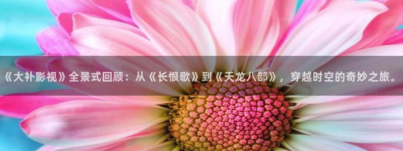 真不卡影院.：《大补影视》全景式回顾：从《长恨歌》到《天龙八部》，穿越时空的奇妙之旅。