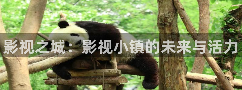 真不卡影院最新：影视之城：影视小镇的未来与活力