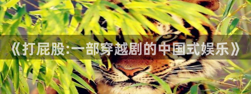 www.真不卡影院：《打屁股:一部穿越剧的中国式娱乐》
