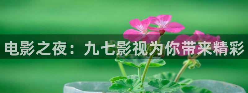 真不卡影院.：电影之夜：九七影视为你带来精彩