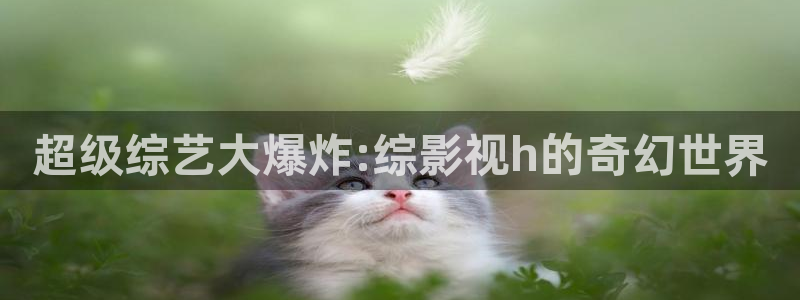 真不卡影院下载：超级综艺大爆炸:综影视h的奇幻世界